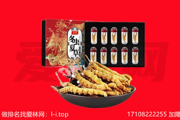 许昌市襄城回收虫草.jpg